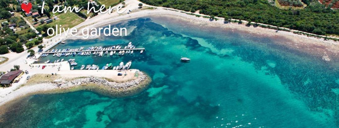 Apartment Olive Garden Vodnjan Εξωτερικό φωτογραφία