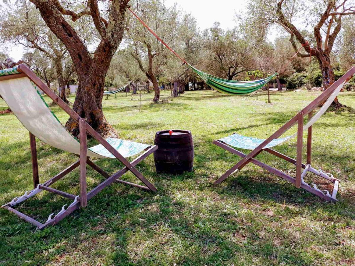 Apartment Olive Garden Vodnjan Εξωτερικό φωτογραφία